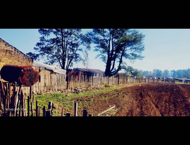 9.09HA FARM FOR SALE IN LIDGETTON